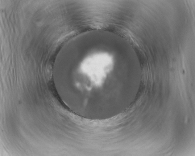 X0000088570043200706151657