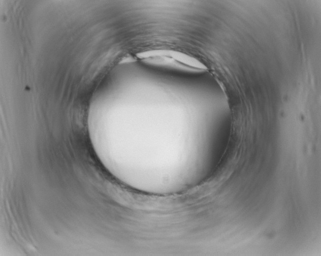 X0000088570044200706151657