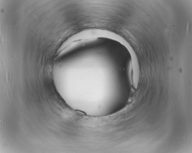 X0000088570045200706151657