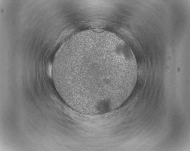 X0000088570046200706151657