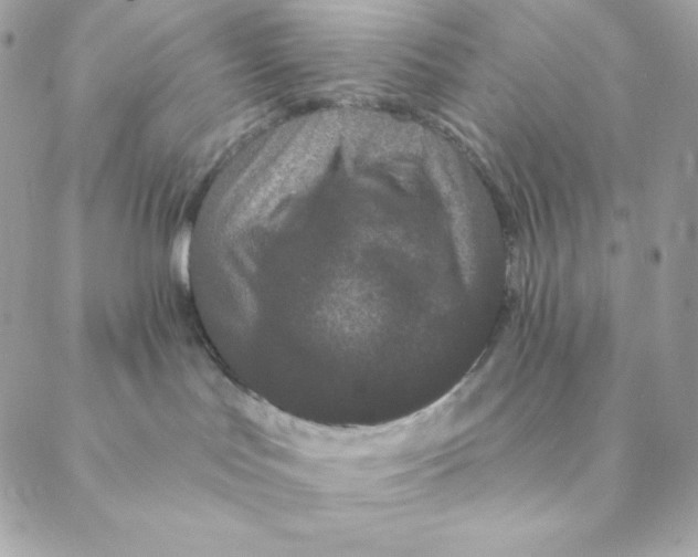 X0000088570047200706151657