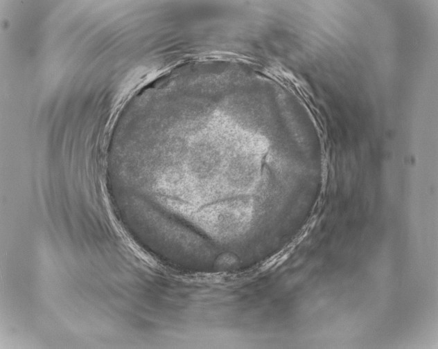 X0000088570049200706151656