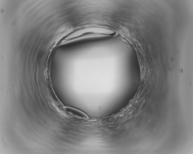 X0000088570050200706151656