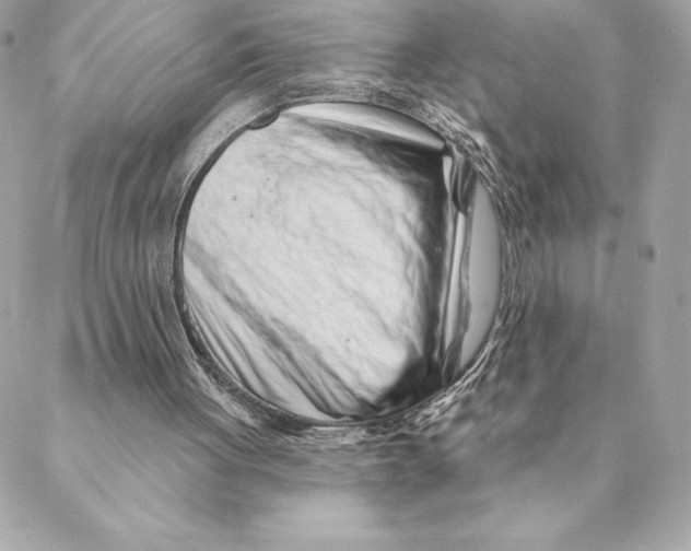 X0000088570051200706151656