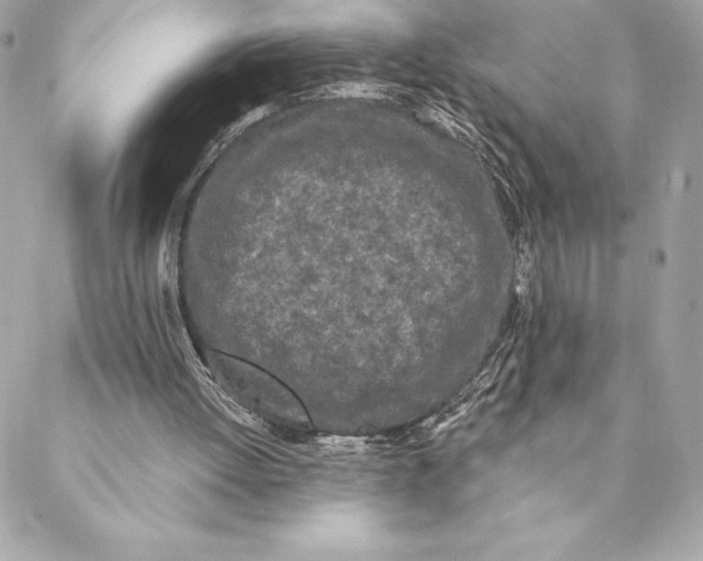 X0000088570052200706151656