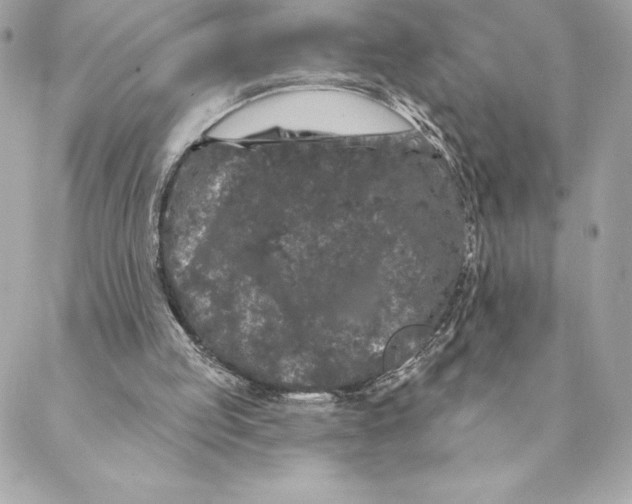 X0000088570053200706151656