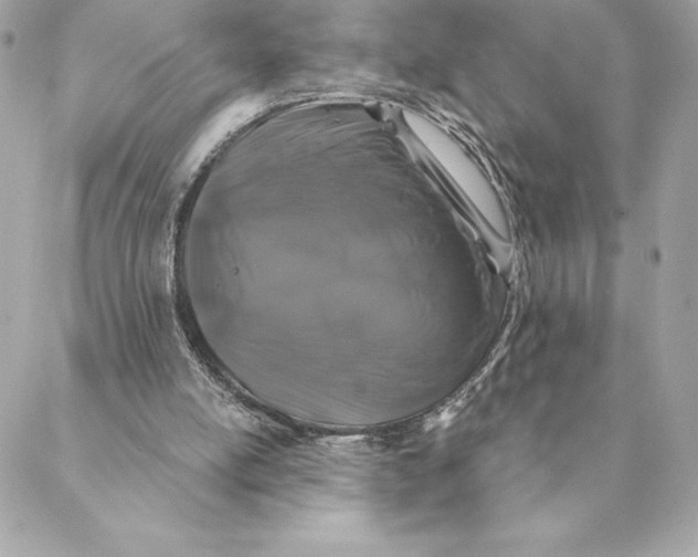 X0000088570054200706151656