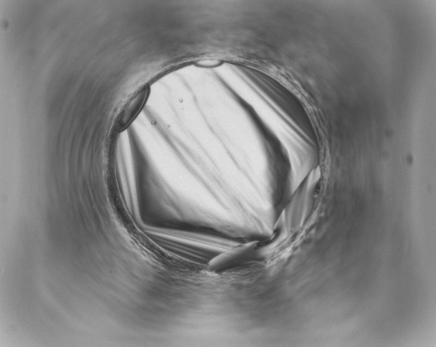 X0000088570055200706151656