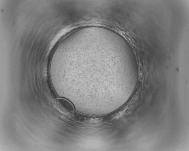 X0000088570056200706151657