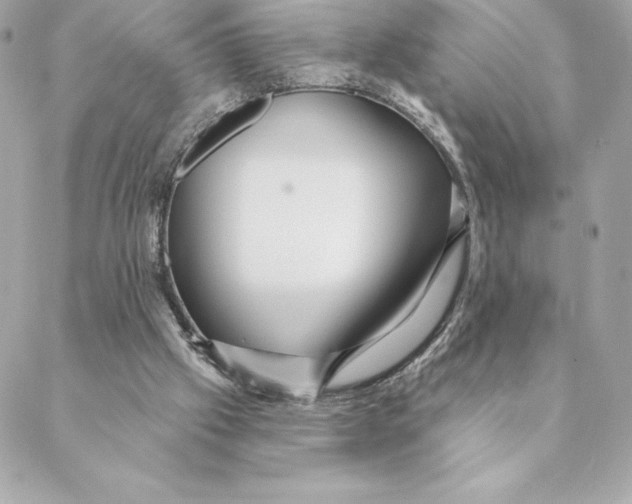 X0000088570057200706151657