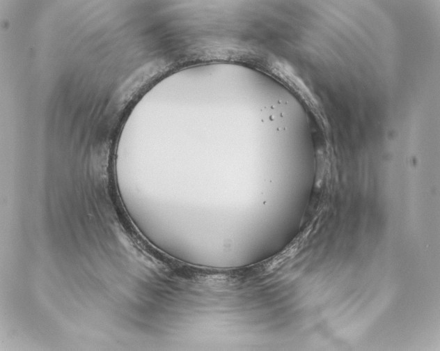 X0000088570058200706151657