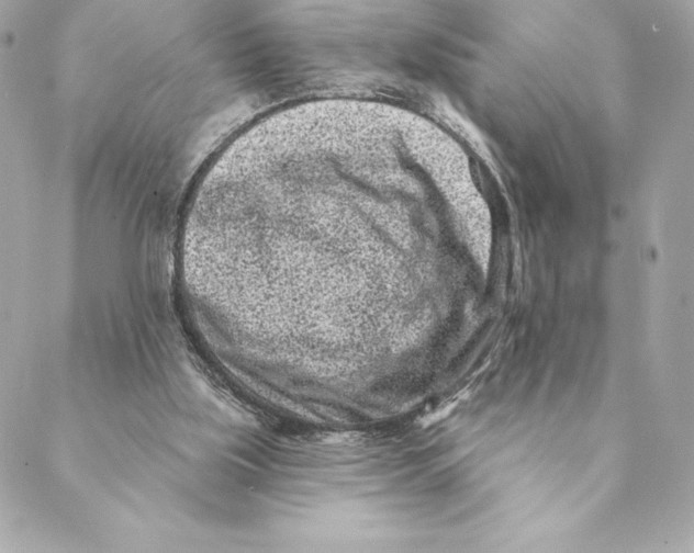 X0000088570059200706151657