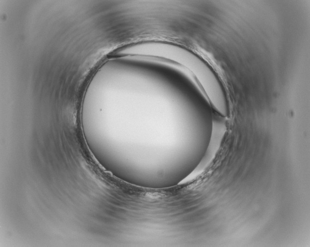 X0000088570060200706151657