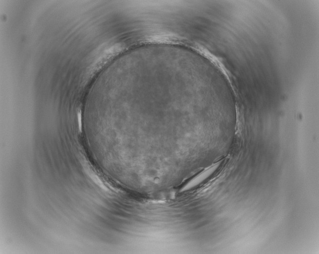 X0000088570061200706151657