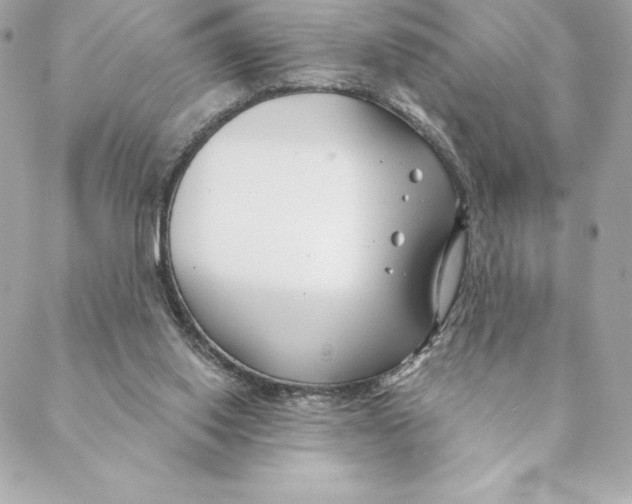 X0000088570062200706151657