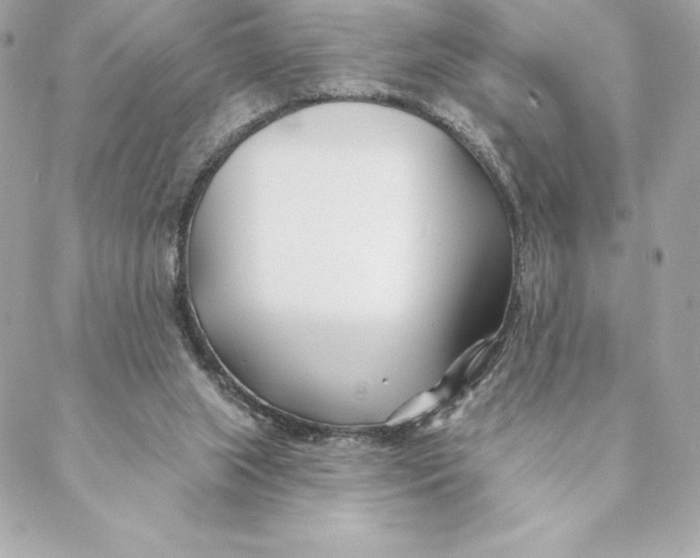 X0000088570063200706151657