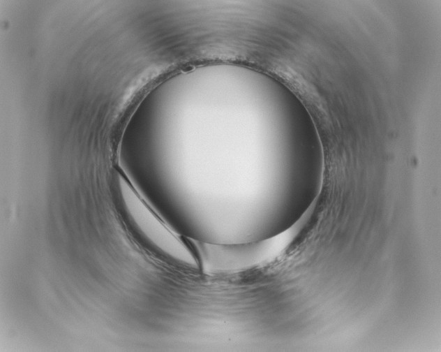 X0000088570064200706151657