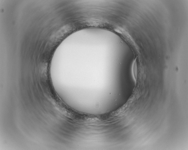 X0000088570066200706151657