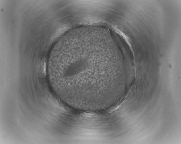 X0000088570067200706151657