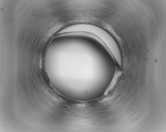 X0000088570068200706151657