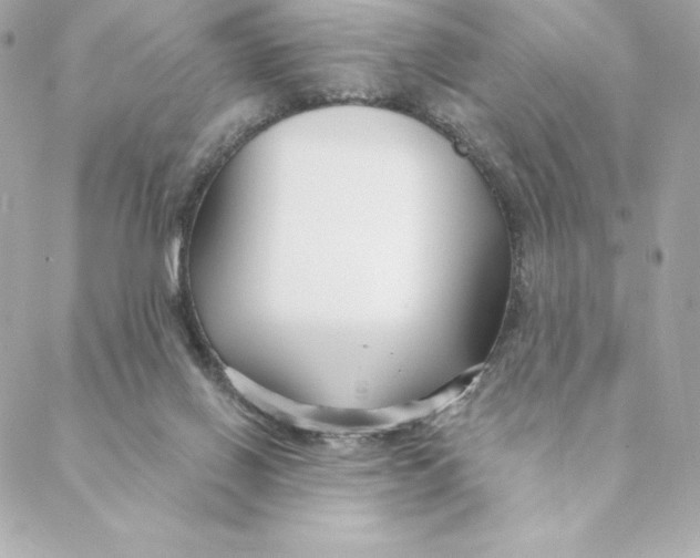 X0000088570070200706151657