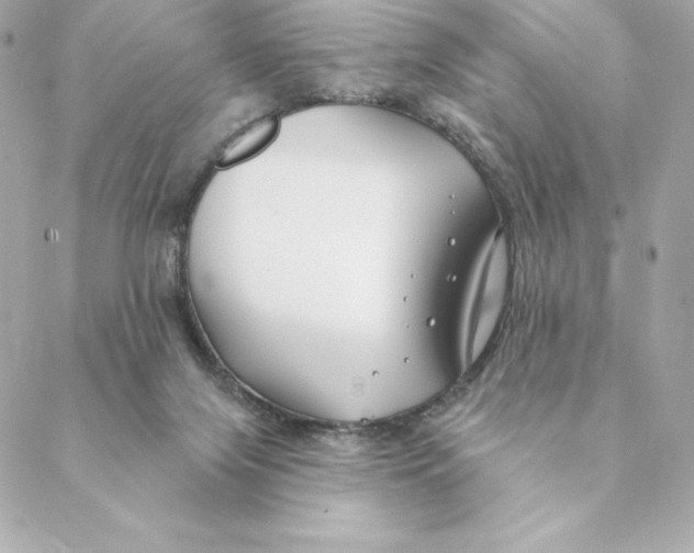 X0000088570071200706151657