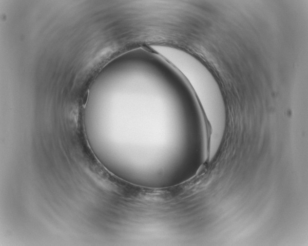 X0000088570072200706151657