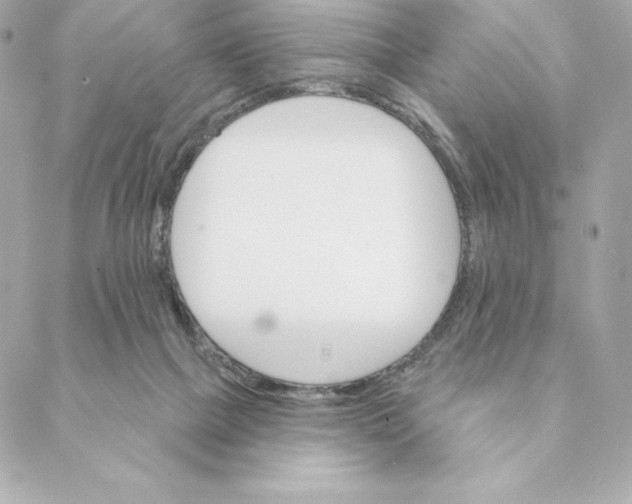 X0000088570073200706151657