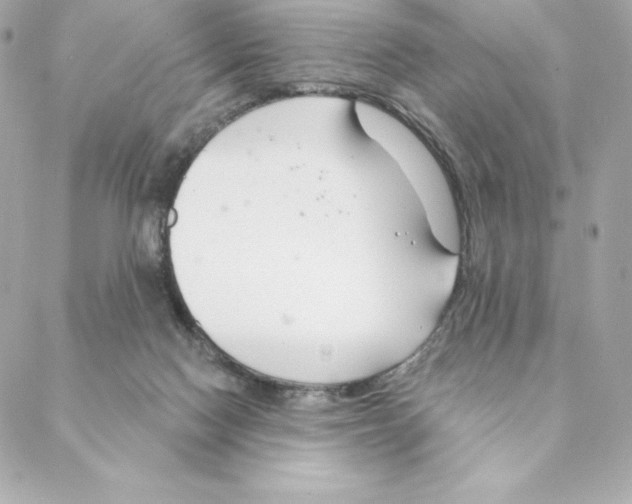 X0000088570074200706151657