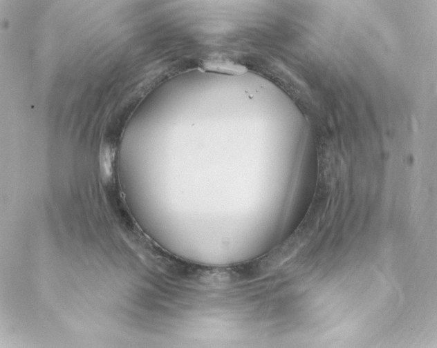 X0000088570075200706151657