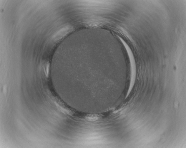 X0000088570076200706151657