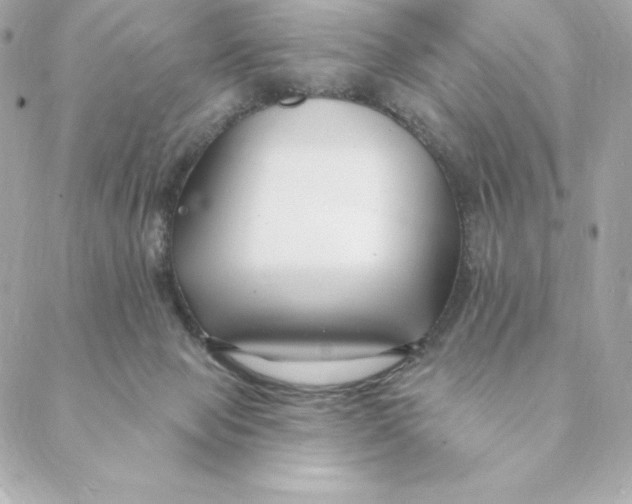 X0000088570077200706151657