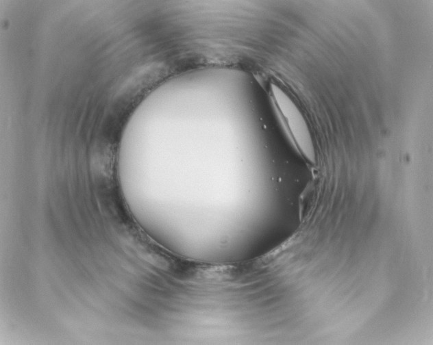 X0000088570078200706151657