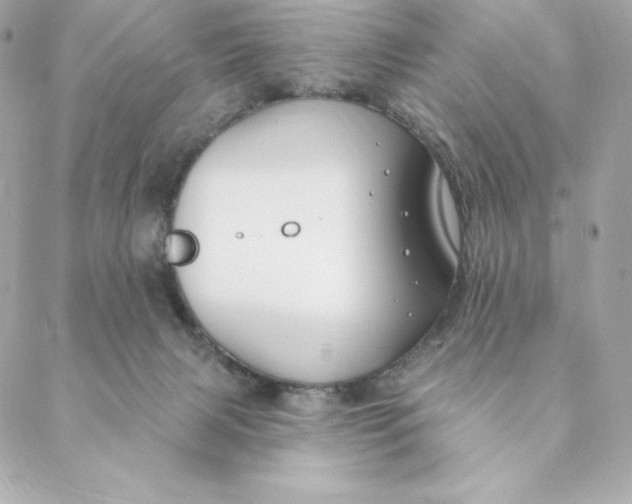 X0000088570079200706151657