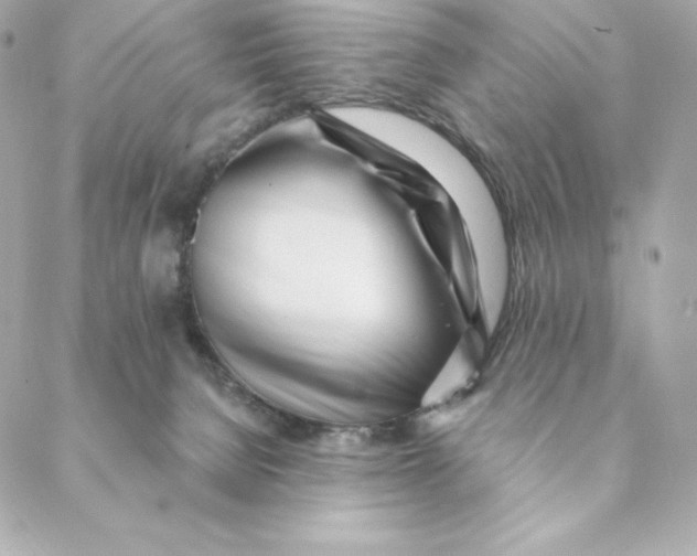 X0000088570080200706151657