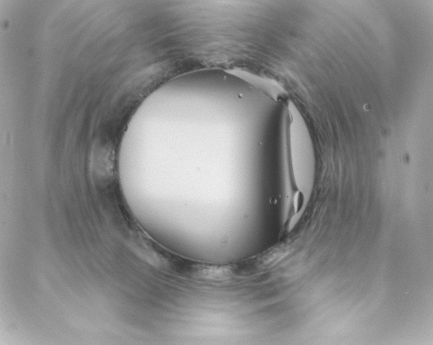 X0000088570081200706151657