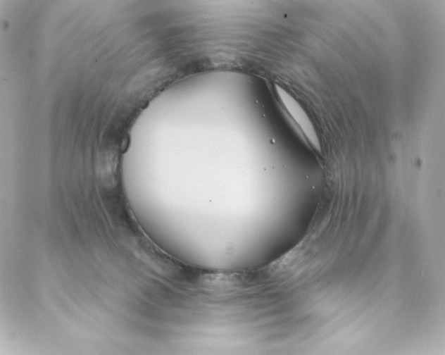 X0000088570082200706151657