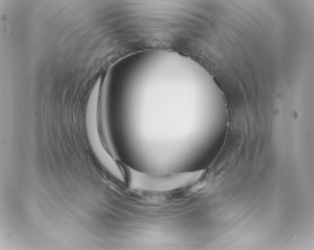 X0000088570084200706151657