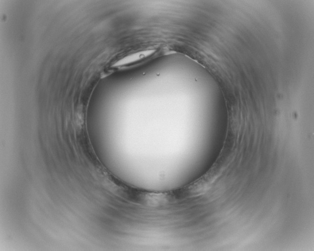 X0000088570085200706151657