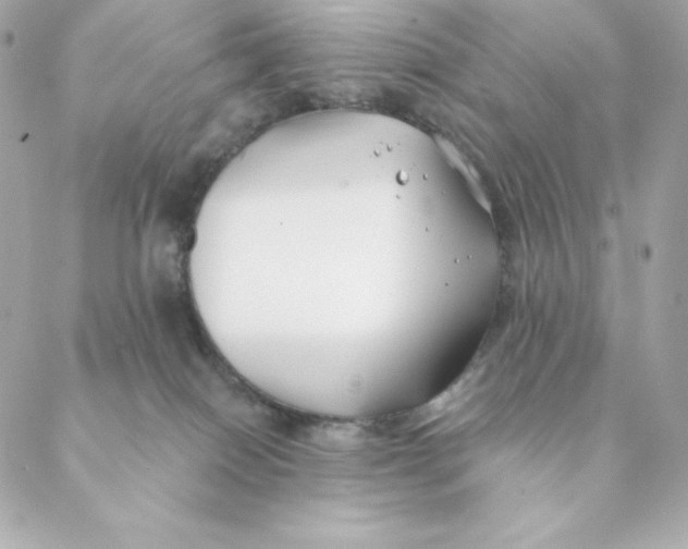 X0000088570086200706151657