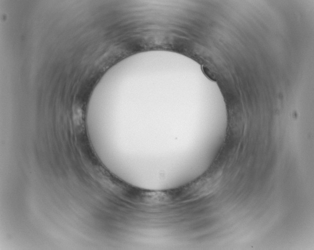 X0000088570087200706151657