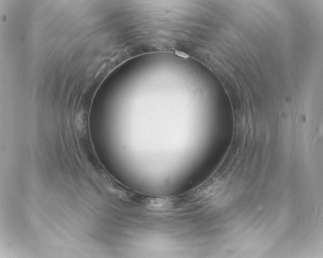 X0000088570088200706151657