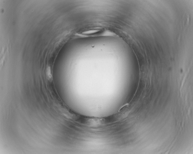 X0000088570089200706151657