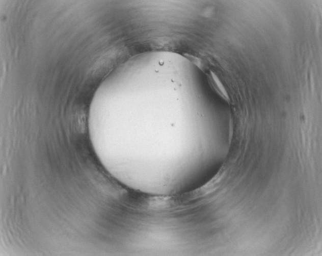 X0000088570090200706151657