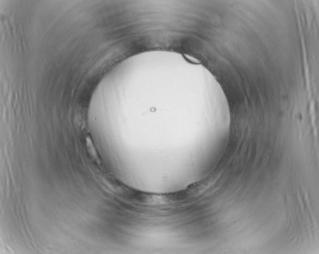 X0000088570091200706151657