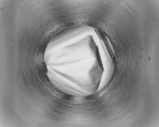 X0000088570093200706151657