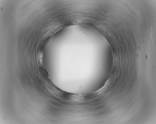 X0000088570094200706151657