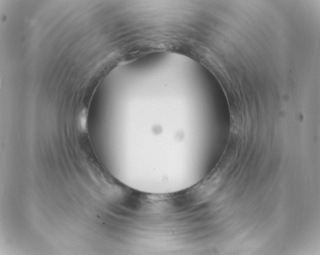 X0000088570095200706151657