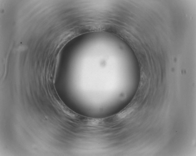 X0000088570096200706151657