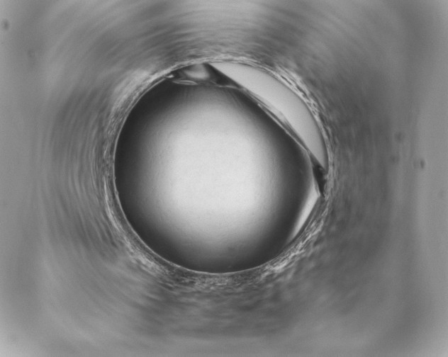 X0000088570097200706151656